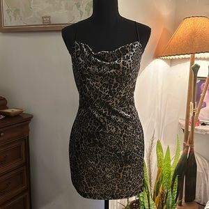 Velvet mini cheetah dress